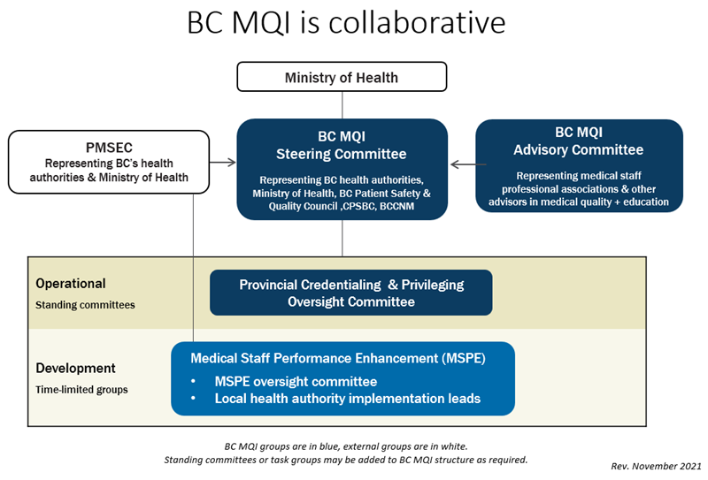 BC MQI structure_Web_June2017-2.png